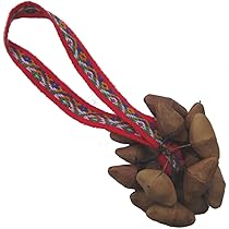 Sound King チャフチャス Amazon.co.jp: チャクチャス チャフチャス IN-006 木の実 ひも付き